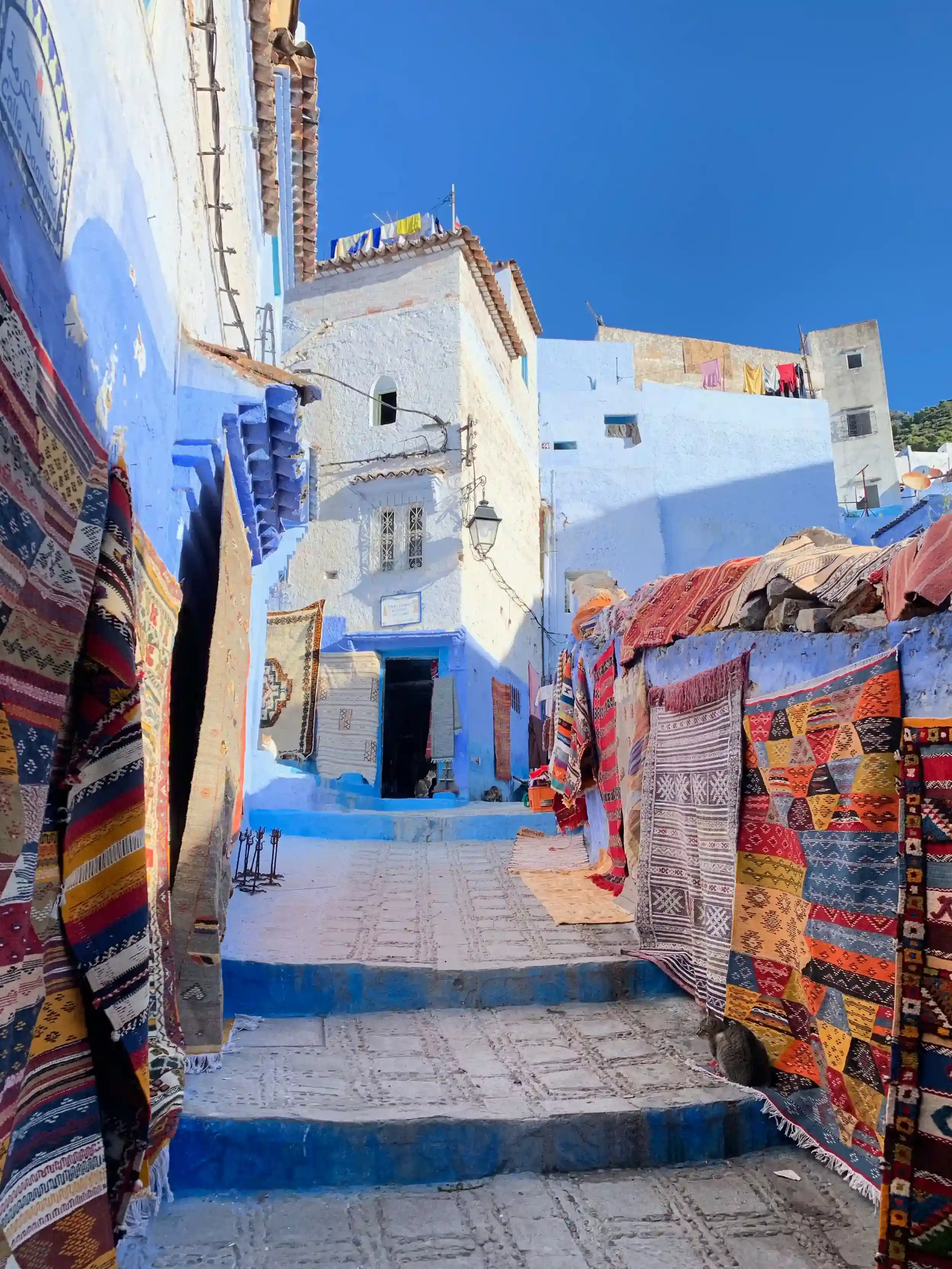 Atlas Mountains day trip from Marrakech with local guide