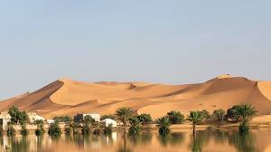 Sahara Desert tours from Marrakech - camel trekking